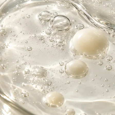 Frazioni lipidiche che rappresentano le ceramidi vegetali