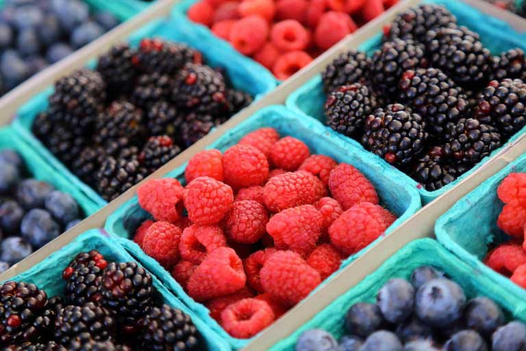 Antociani | Proprietà, Benefici | Alimenti Ricchi di Antociani