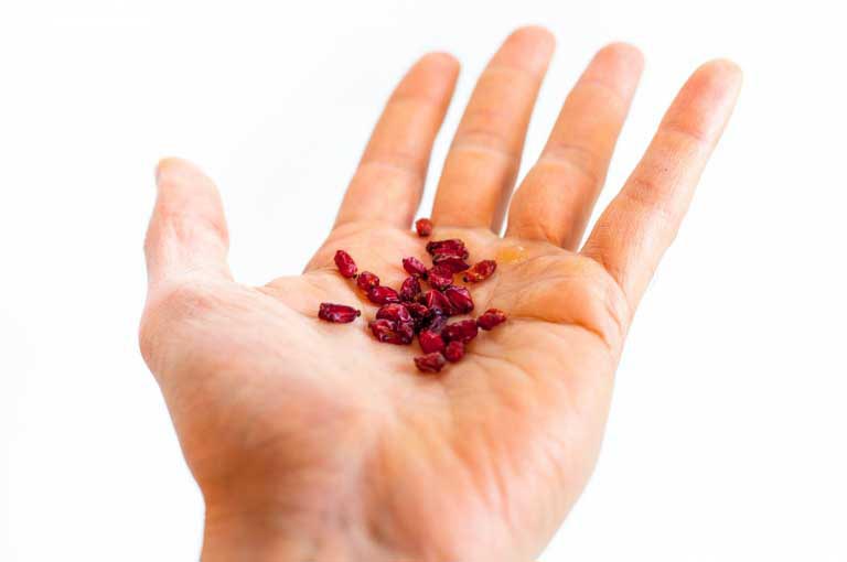 Berberina | Benefici per Diabete, Colesterolo, Invecchiamento