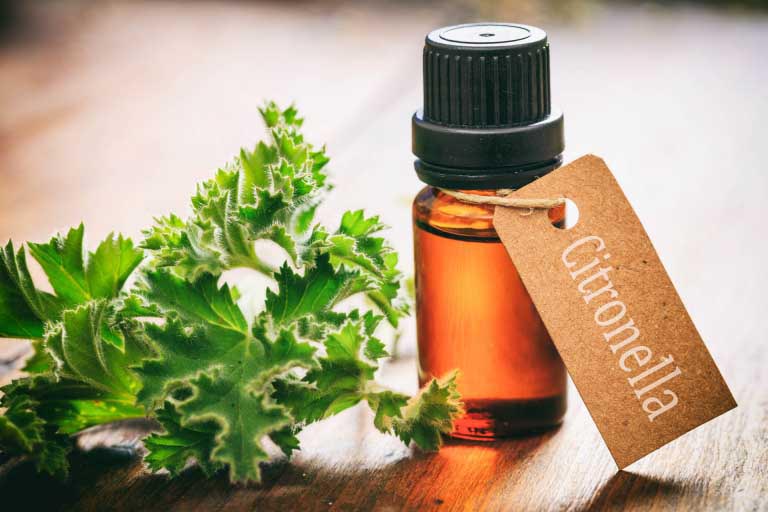 Citronellolo | Citronellol | Profumo e Uso nei Cosmetici