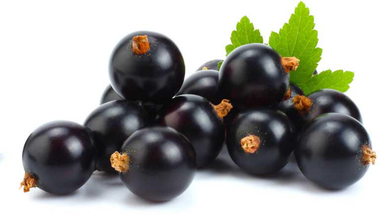 Ribes | Proprietà e Benefici per Pelle e Salute