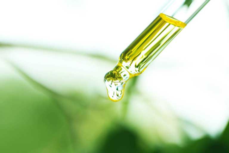 Terpeni | Cosa Sono? Proprietà, Usi, Benefici