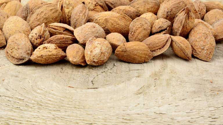 Vitamina E e Fumo | Benefici e Pericoli per i Fumatori
