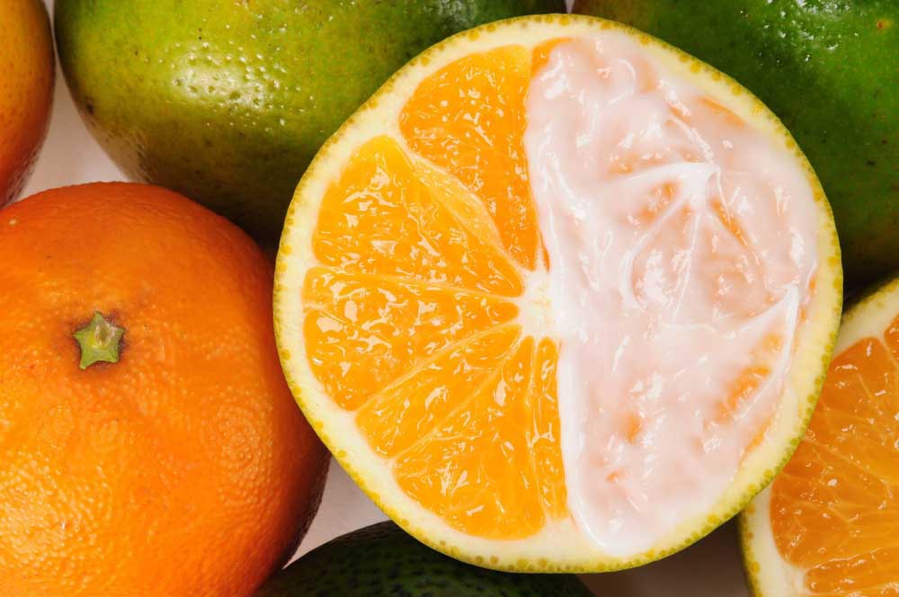 Crèmes en Serums met Vitamine E | Voordelen en Gebruik