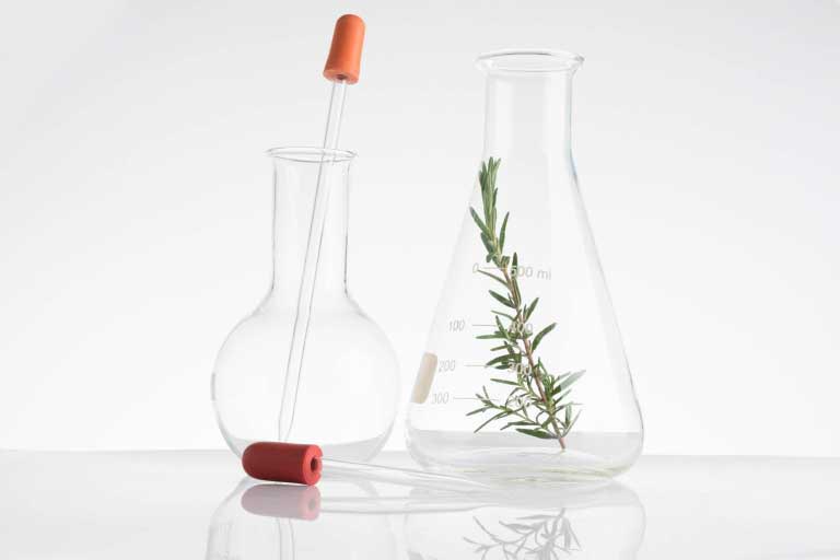 Carragenina | Uso in Alimenti e Cosmetici | Fa Male alla Salute?