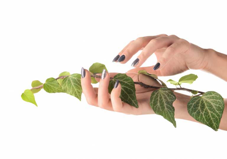 Edera | Efficacia | Sicurezza contro Tosse e Bronchite