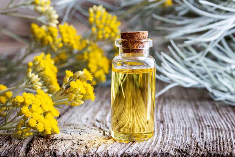 Elicriso | Proprietà e Benefici | Pelle, Infezioni, Salute