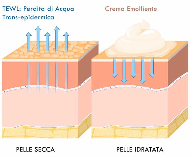 Emollienti | Cosa Sono? Proprietà | Usi Medici e Cosmetici