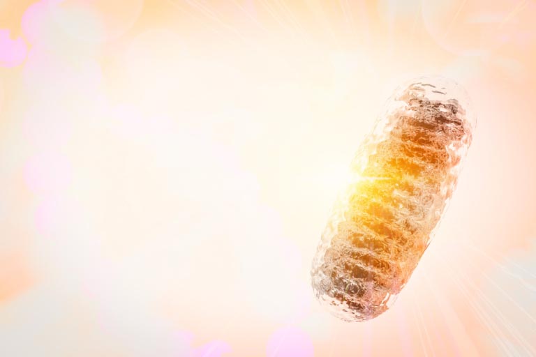 Glutatione Perossidasi | Funzioni e Salute | Come Aumentarla