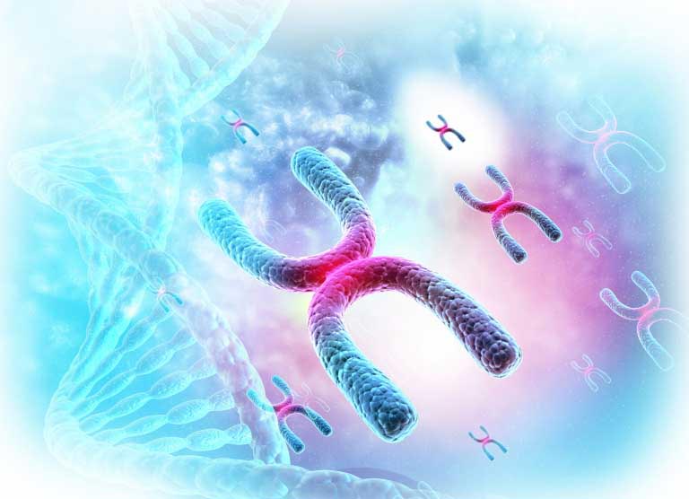 Telomeri | Accorciamento dei Telomeri e Salute | Come Allungarli
