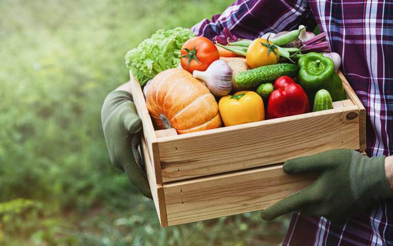 Verdure Ricche di Vitamina C | Proprietà, Benefici