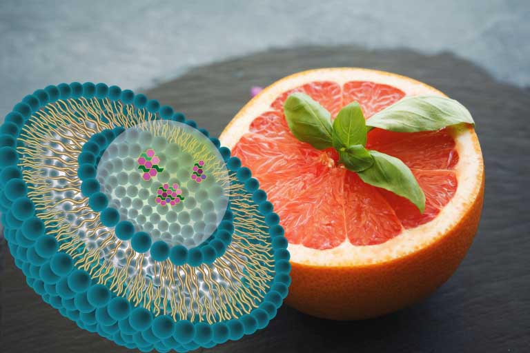 Vitamina C Liposomiale | Quali Vantaggi? Funziona Davvero?