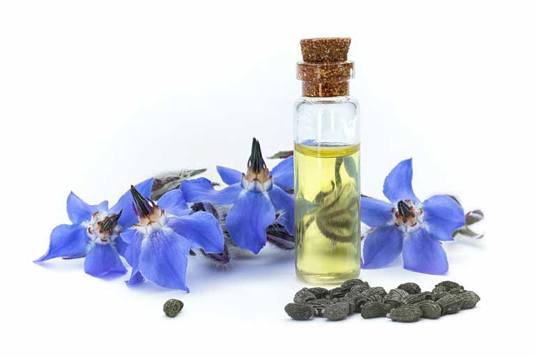 Borragine | Olio, Proprietà, Benefici | Pelle, Salute