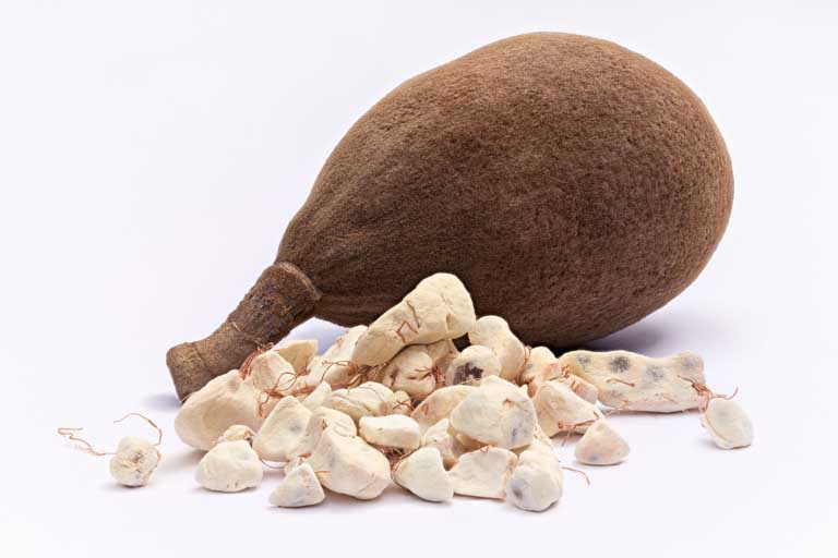 Baobab | Proprietà | Usi e Benefici per la Salute