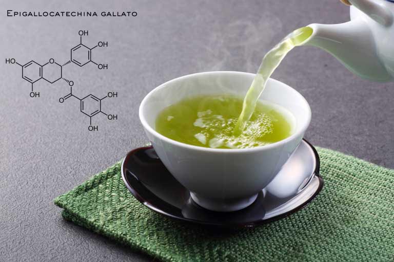 Catechine | Proprietà | Benefici per Pelle e Salute