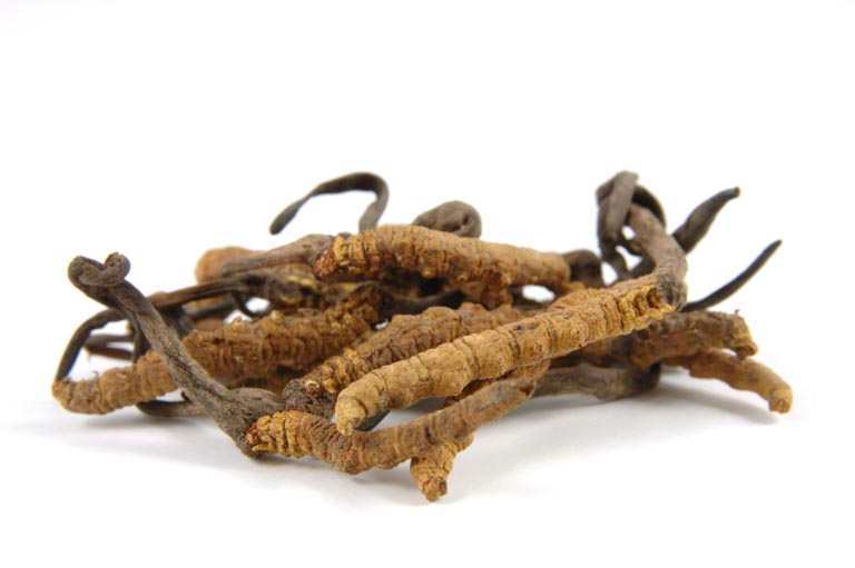 Cordyceps | Funziona? Benefici, Dosi, Effetti Collaterali