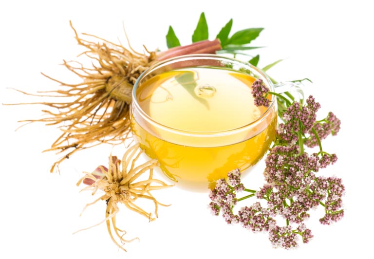 Valeriana | Benefici, Proprietà | Dosi e Controindicazioni