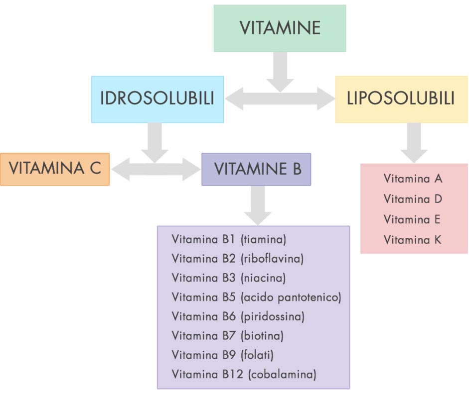 Vitamine Liposolubili | A, D, E, K | Funzioni, Cibi, Integratori