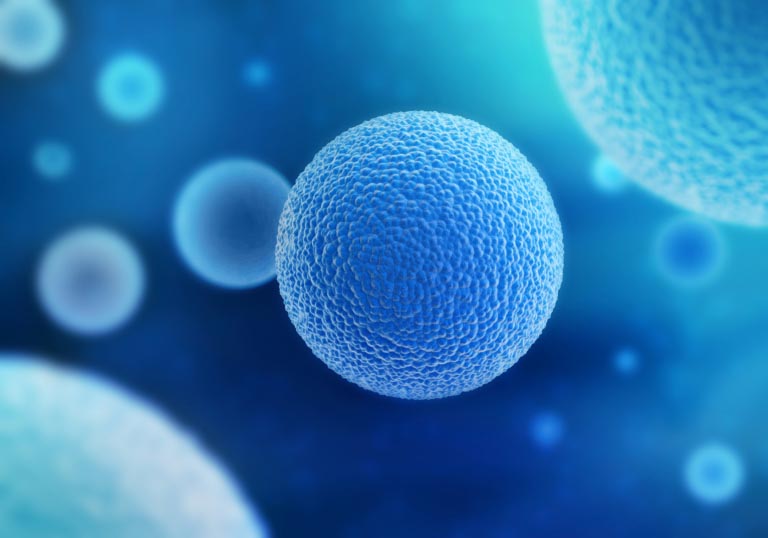 Apoptosi | Cos’è? Funzioni, Benefici, Ruoli nella Malattia