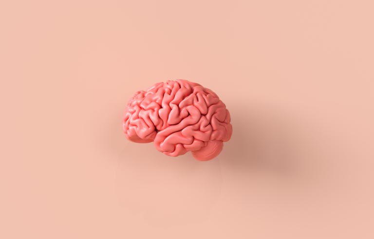 BDNF | Fattore Neurotrofico Cerebrale | Funzioni, Come Aumentarlo