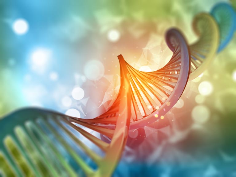 Epigenetica | Significato, Esempi, Come Funziona