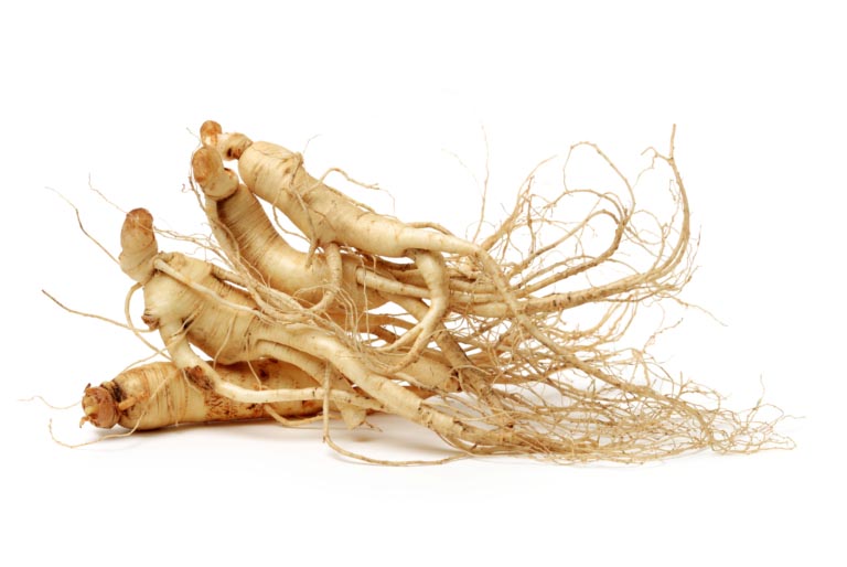 Ginseng | A Cosa Serve | Come si Usa | Dosi e Benefici