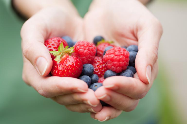 Frutti di Bosco | Proprietà, Benefici | Salute e Longevità