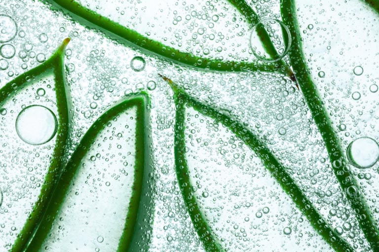 Aloe Barbadensis Leaf Juice | Usi e Benefici per la Pelle