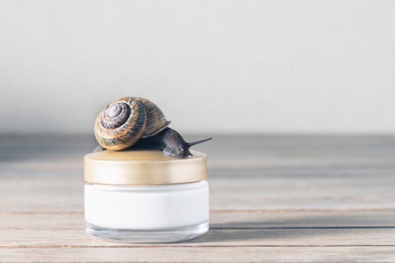 Creme alla Bava di Lumaca | Tutti i Benefici | Spiegati Bene