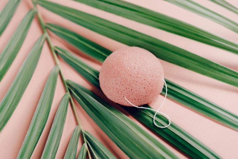 Spugna Konjac | Benefici | Consigli d’Uso, Precauzioni