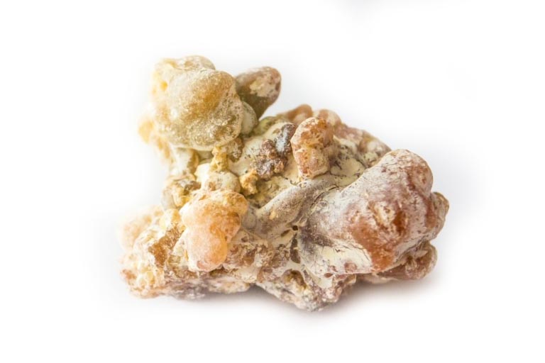 Olio di Copaiba | Proprietà, Benefici | Effetti Collaterali