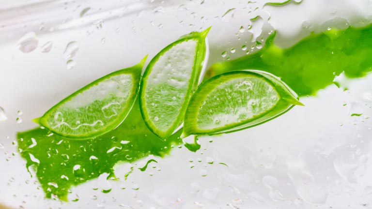Aloe | Fa Bene? Fa Male? | A Cosa Serve, Come si Usa