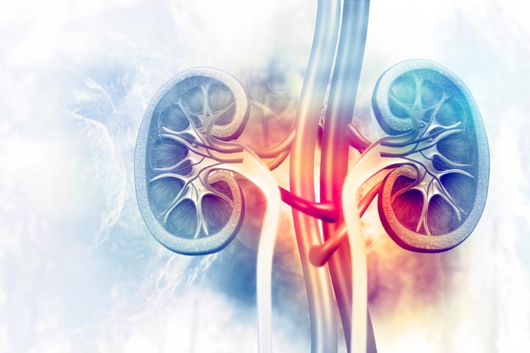 Azotemia Alta | Cos’è? È Grave? Cause, Sintomi, Cosa Mangiare