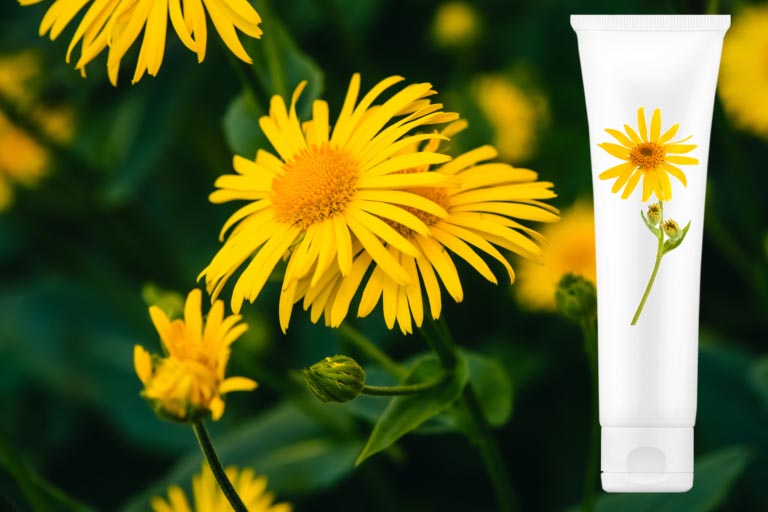 Arnica Crema | A Cosa Serve? Benefici Controindicazioni