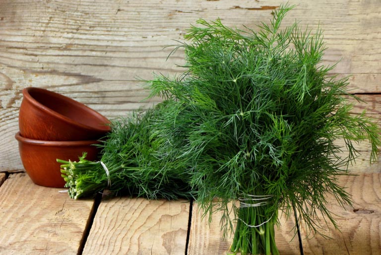 Aneto | Proprietà, Cucina, Salute | Studi e Benefici