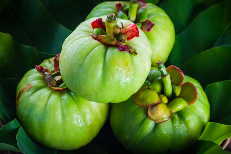 Garcinia Cambogia | Fa Dimagrire? | A Cosa Serve, Come si Usa
