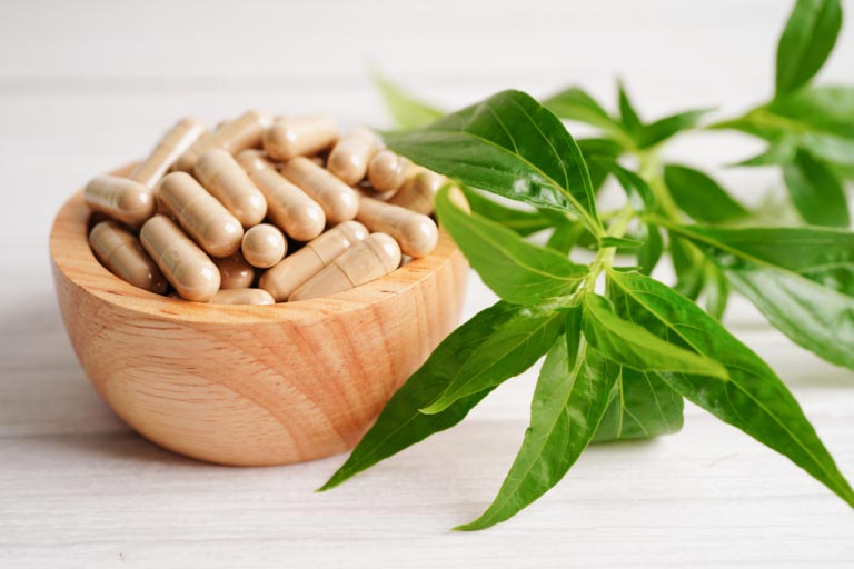Andrographis paniculata | Proprietà, Benefici, Controindicazioni