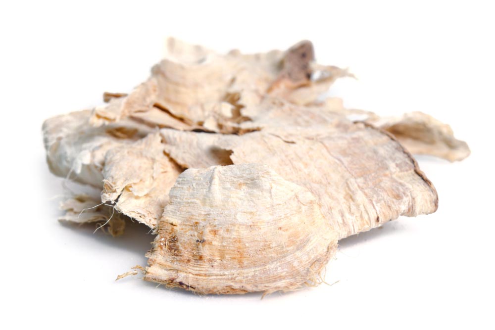 Pueraria mirifica | A Cosa Serve? Menopausa e Altri Benefici
