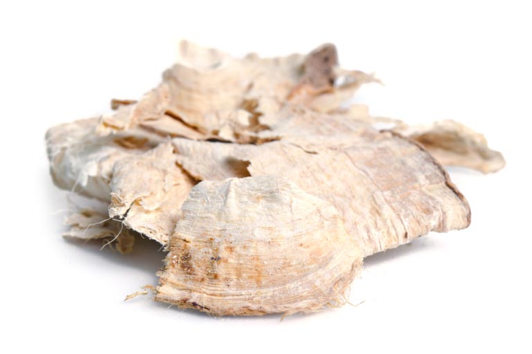 Pueraria mirifica | A Cosa Serve? Menopausa e Altri Benefici