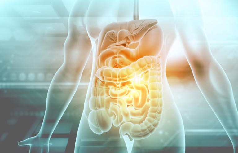 Enzimi Digestivi | Funzioni e Benefici | Uso come Integratori