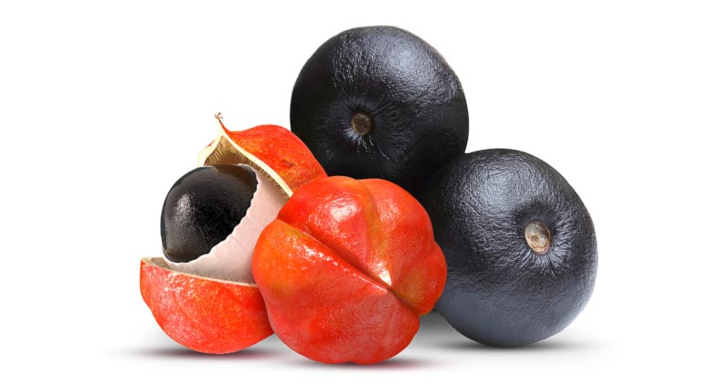 Bacche di Acai | Proprietà, Sapore, Benefici per la Salute
