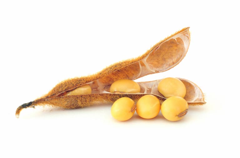 Fitoestrogeni | Funzioni, Alimenti, Benefici, Controindicazioni