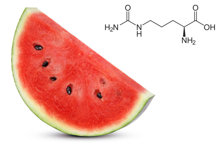 Citrullina | Funzioni, Alimenti | Dosi, Benefici, Controindicazioni