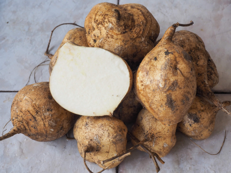 Jicama | Sapore, Come si Cucina | Benefici, Proprietà Nutrizionali