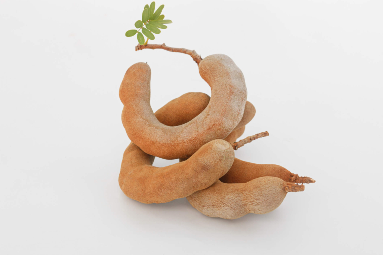 Tamarindo | Usi, Sapore, Proprietà | Benefici per la Salute