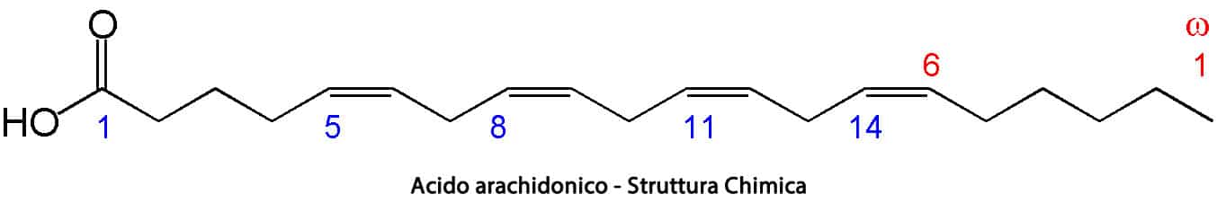 Acido Arachidonico Struttura Chimica