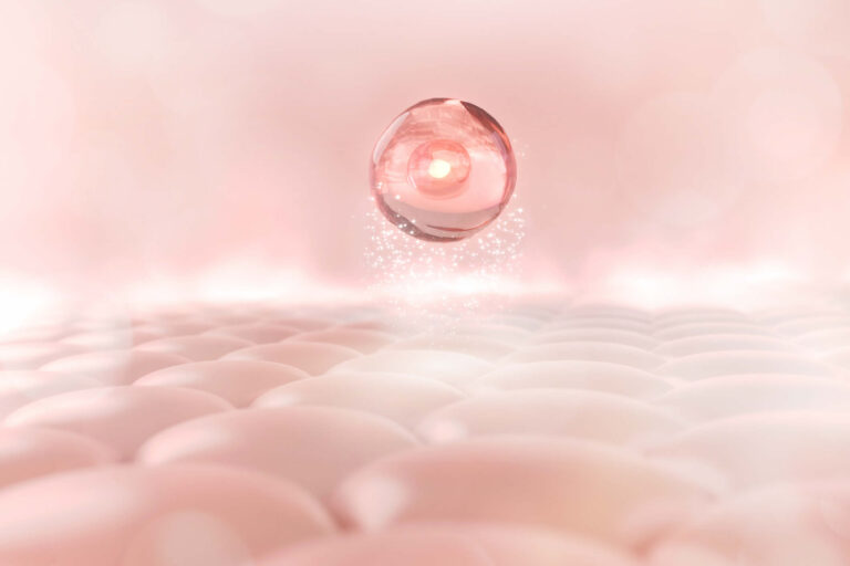 Acquaporine | Cosa Sono, Come Aumentarle | Pelle e Cosmetici