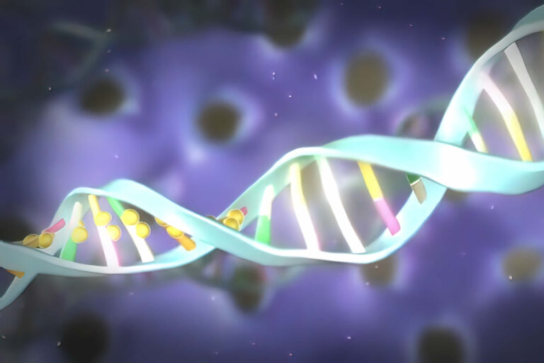Metilazione DNA | A Cosa Serve | Come Aumentarla