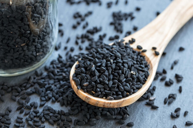 Nigella sativa | Tutti i Benefici | Proprietà, Dosi, Controindicazioni