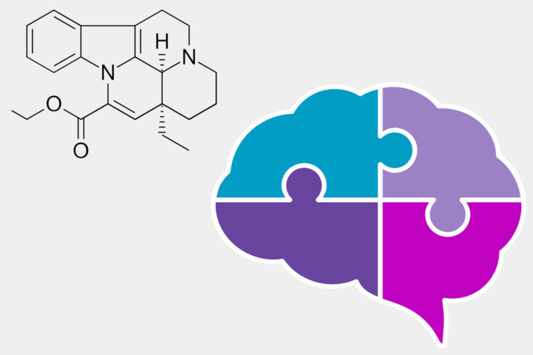 Vinpocetina | Proprietà e Benefici per il Cervello | Controindicazioni